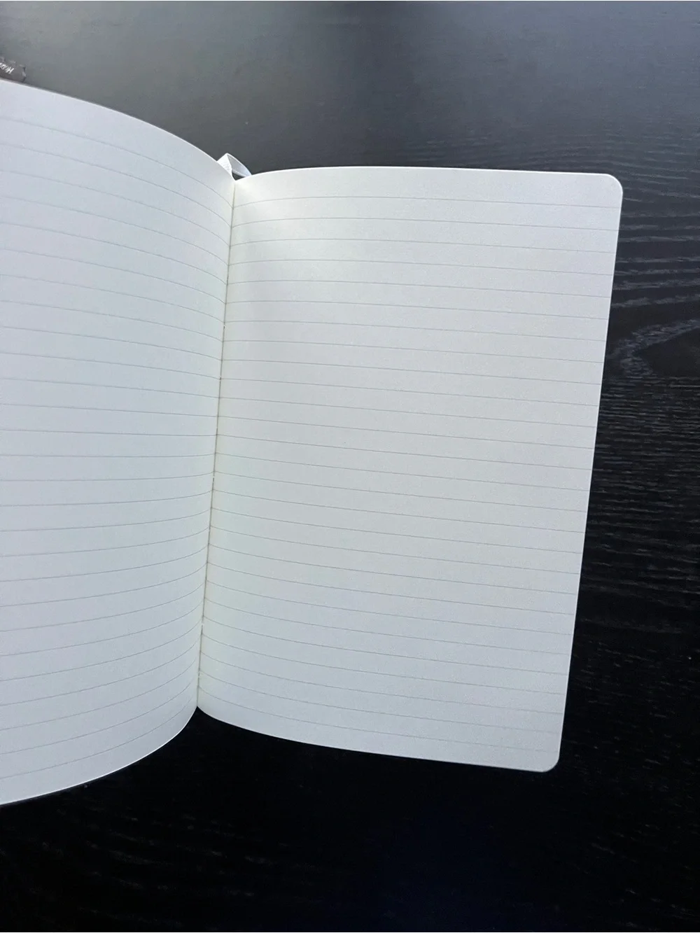 Paperage Datadog Hardcover Lined Journal Notebook White 5.7x8 Elastic Pocket